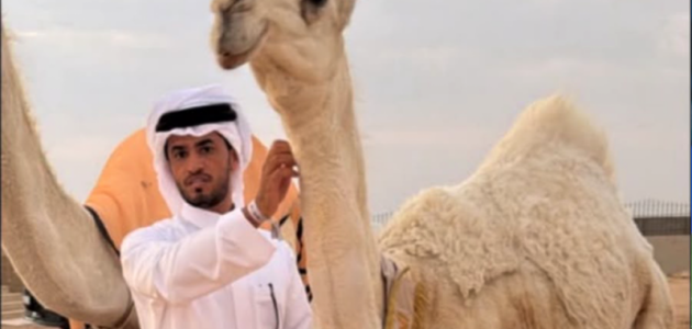 حمايا: الشاعر السعودي يرفض بيع الفردية للملايين ويحقق المركز الخامس في مهرجان ولي العهد